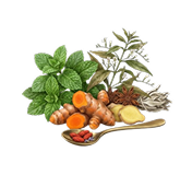 Fruits and Vegetables
